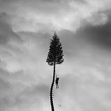 Album cover of the song: A Black Mile to the Surface